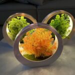 Round Decorative Plant Display with Light