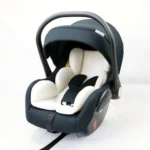 Newborn Car Seat