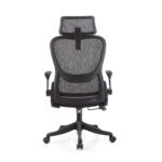 Foldable Chairs