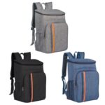 Insulated Food Delivery Backpack