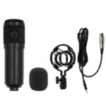 BM800 Microphone Set with V8 Sound Card – Black - Image 2